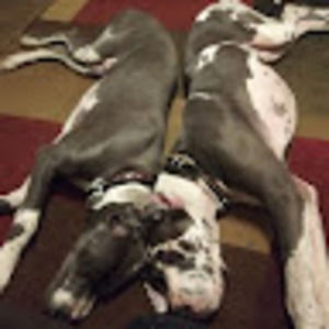 Meet your Posher, Ashlee